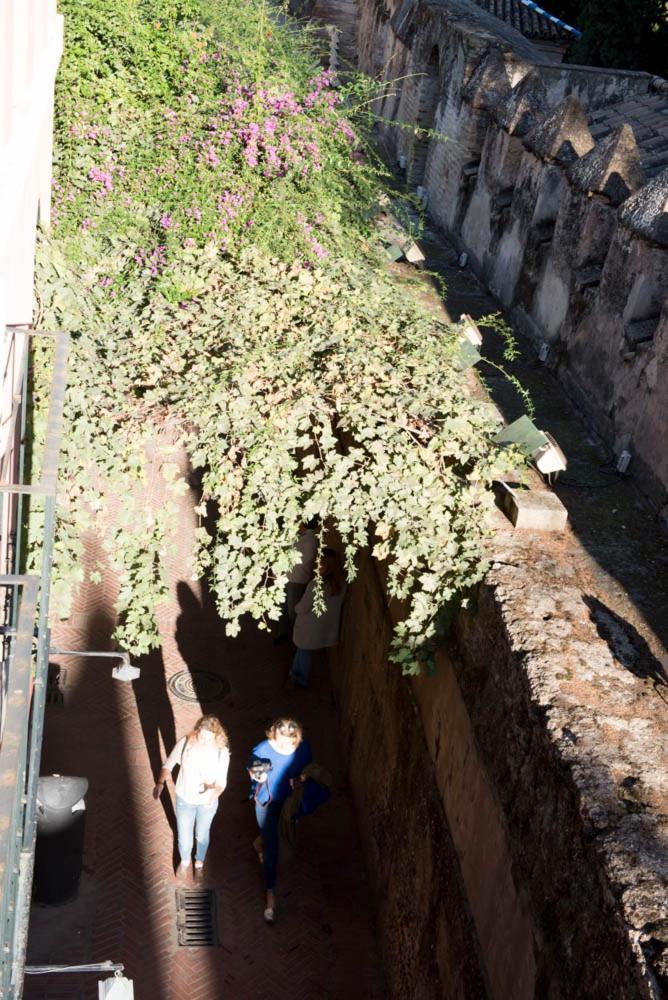 סביליה Apartamento Casa Callejon Del Agua מראה חיצוני תמונה
